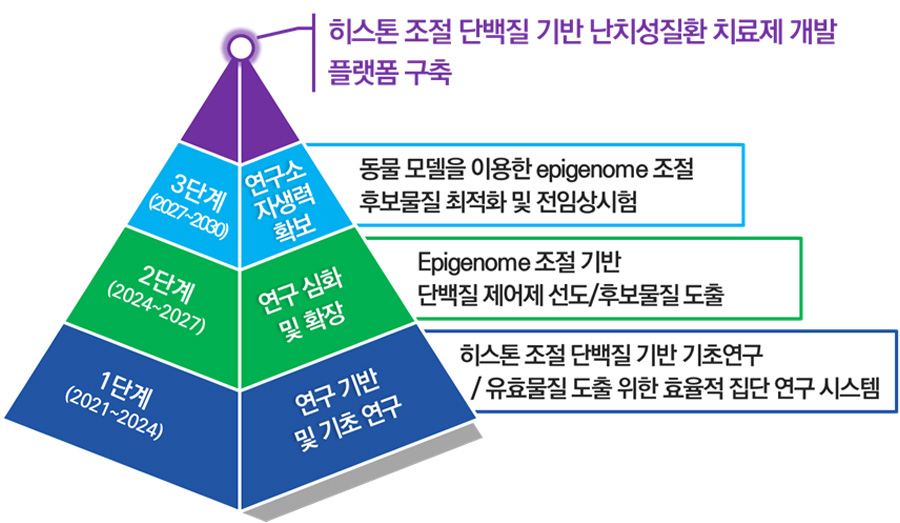 1단계 (2021-2024) : 연구 기반 및 기초연구 : 히스톤 조절단백질 기반 기초연구, 유효물질도출 위한 효율적 집단연구 시스템. 2단계 (2024~2027) : 연구 심화 및 확장 : Epigenome 조절 기반 단백질 제어제 선도, 후보물질도출. 3단계 (2027-2030) : 연구소 자생력 확보 : 후보물질 최적화 및 전임상시험, 동물모델을 이용한 epigenome 조절. 최종목표 : 히스톤 조절단백질 기반 난치성질환 치료제 개발 플랫폼 구축.