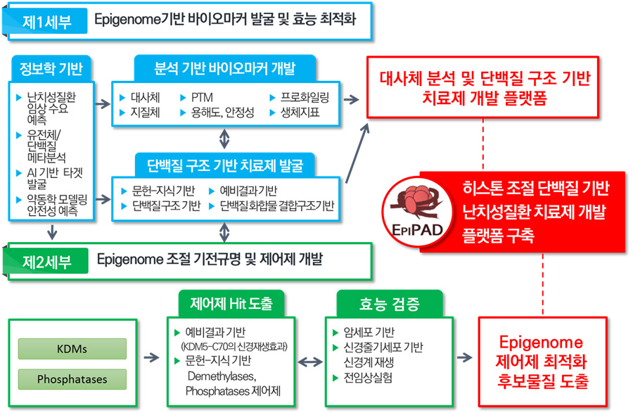 제1세부 : Epigenome기반 바이오마커 발굴 및 효능 최적화 / 정보학 기반 :  ▶ 난치성질환 임상수요 예측 ▶ 유전체/단백질 메타분석 ▶ AI 기반 타겟 발굴 ▶약동학모델링 안전성 예측 / 분석 기반 바이오마커 개발 : ▶ 대사체 ▶ PTM ▶ 프로화일링  ▶ 지질체 ▶ 용해도, 안정성  ▶ 생체지표 / 단백질 구조 기반 치료제 발굴 : ▶ 문헌-지식기반 단백질구조기반 ▶ 예비결과기반 ▶ 단백질화합물결합구조기반 ▶ 대사체 분석 및 단백질 구조 기반 치료제 개발 플랫폼 / 제2세부 : Epigenome 조절기전규명 및 제어제 개발 / KDMs, Phosphatases / 제어제 Hit 도출 : ▶ 예비결과 기반(KDM5-C70의 신경재생효과)  ▶ 문헌-지식기반 Demethylases, Phosphatases 제어제 / 효능 검증 : ▶ 암세포 기반 ▶ 신경줄기세포 기반 신경계재생 ▶전임상실험 / Epigenome 제어제 최적화 후보물질 도출 / EPIPAD : 히스톤 조절단백질 기반 난치성질환치료제 개발 플랫폼 구축